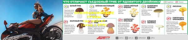 ПСИЛОЦИБИНОВЫЕ ГРИБЫ Мегион