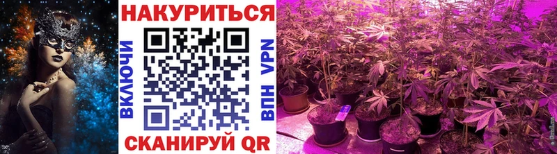 Шишки марихуана семена  Купить  Славянск-на-Кубани 